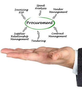 it procurement consulting